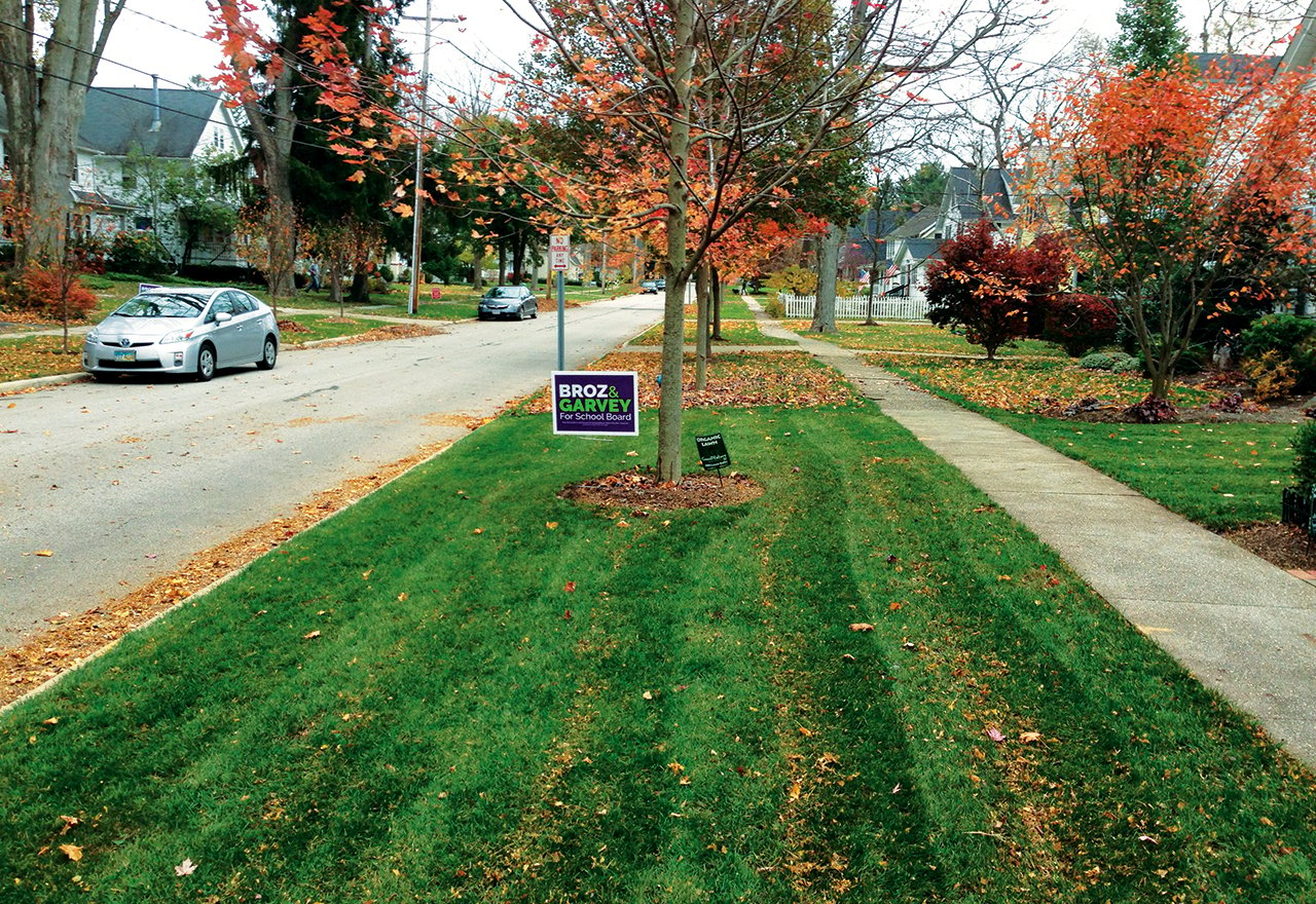 Why Not To Rake Your Leaves